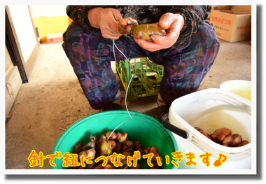 c0259934_08543601.png