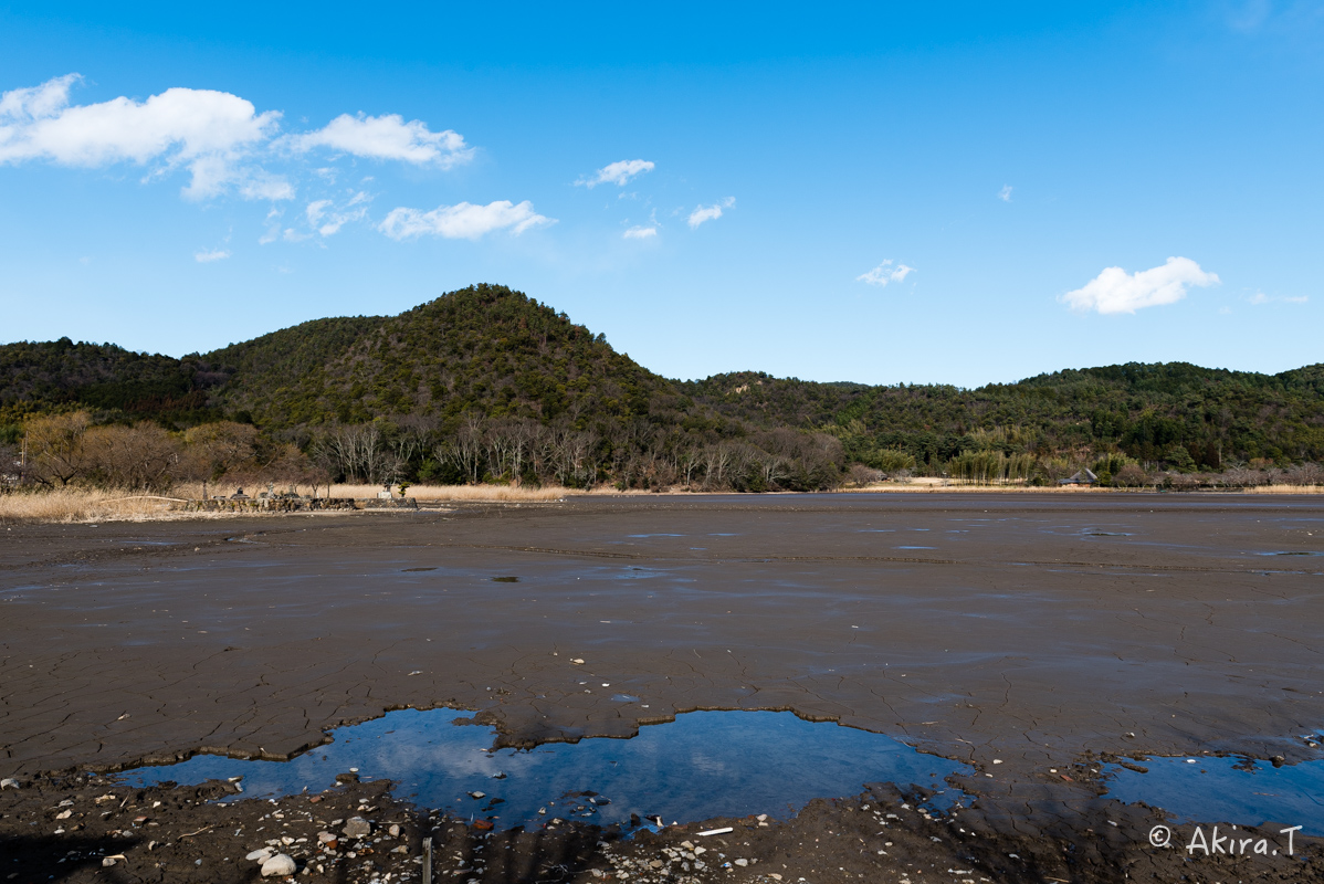 f0152550_20592168.jpg