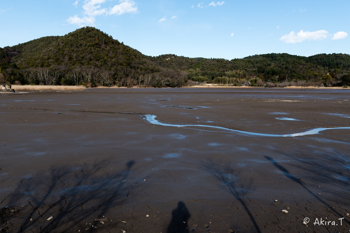 f0152550_20595546.jpg