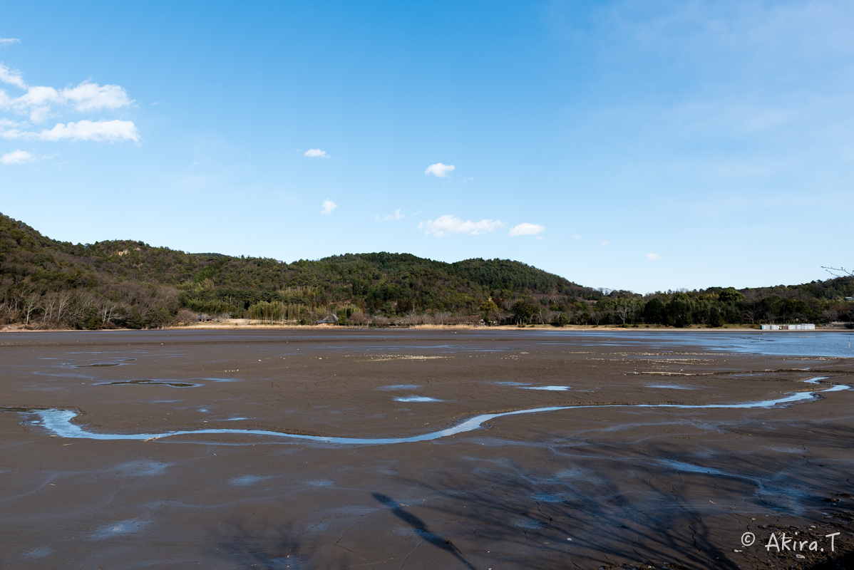 f0152550_2101411.jpg
