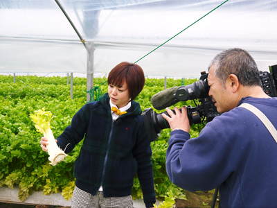 熊本セロリ「清正人参」　まもなく今期の最後の収穫です！ラストチャンス!!お急ぎください！_a0254656_18213030.jpg