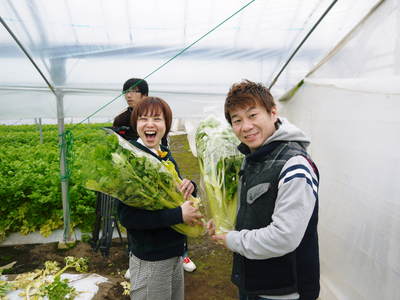 熊本セロリ「清正人参」 まもなく今期の最後の収穫です!ラストチャンス!!お急ぎください!_a0254656_18255345.jpg