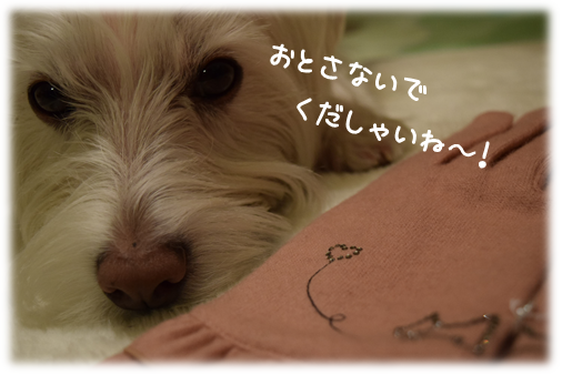b0242873_00514131.png