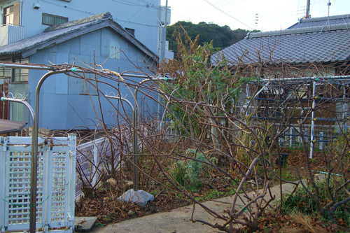 e0181373_20432231.jpg