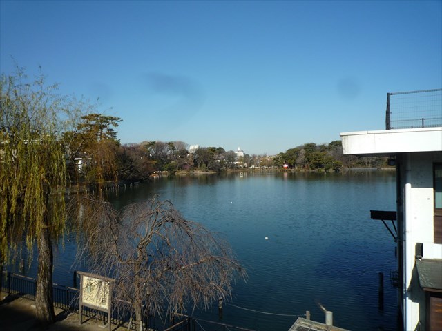 b0287088_15404787.jpg