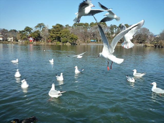b0287088_15472734.jpg
