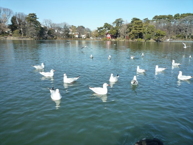 b0287088_15555837.jpg