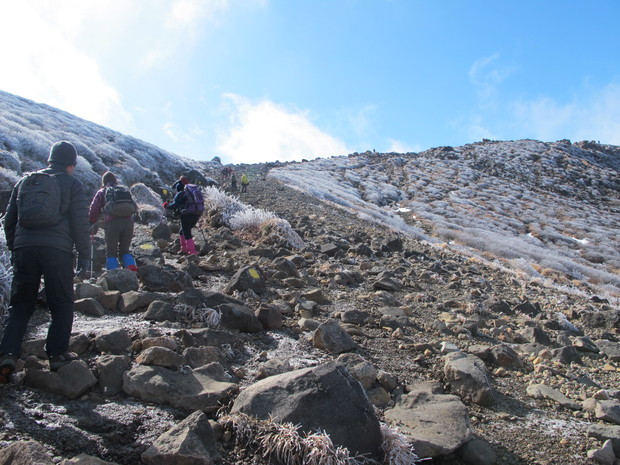 真冬の九重山に春の兆し　2016.1.31（日）_a0166196_10484389.jpg