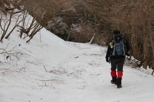 二ノ塔(丹沢) 2016/02/03_a0320601_23374837.jpg