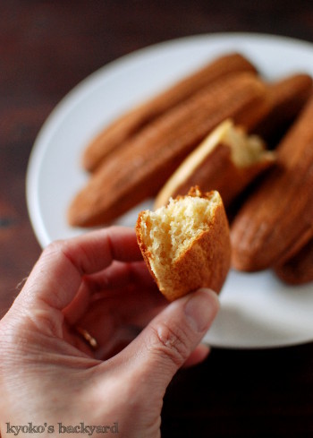 ロッジのコーンスティック・パン : Kyoko's Backyard ～アメリカで田舎