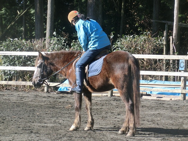 「ホースセラピー」をご存知ですか? 私も初めて知った「エヘガザル富士山牧場」_f0141310_748296.jpg