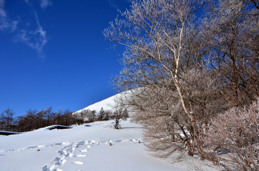 a0340812_8405197.jpg