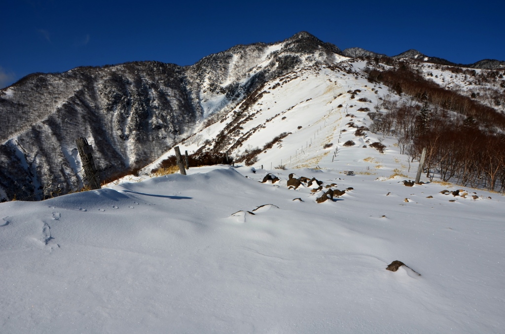 a0340812_8434189.jpg