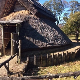 余談:季節の変わり目_d0263815_20254655.png