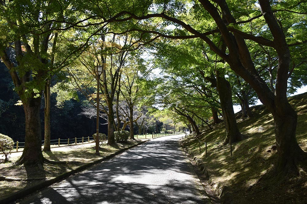 白鷺の天守閣がよみがえった姫路城を歩く。　その７　～姫山公園・姫路神社～_e0158128_18045081.jpg