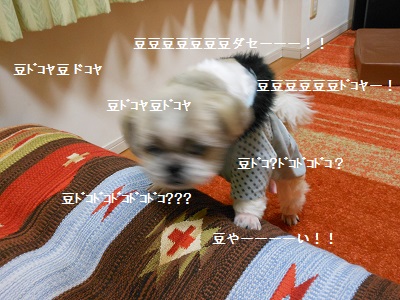 c0261346_2239886.jpg