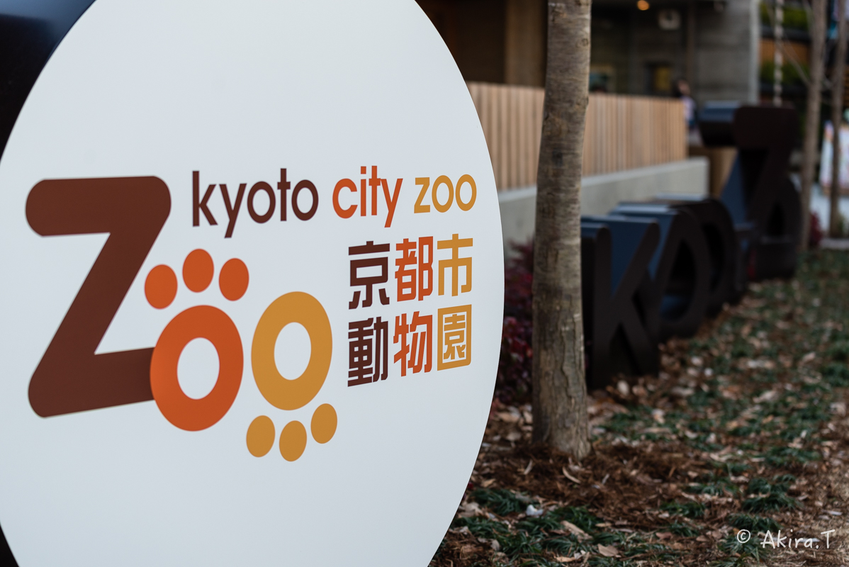 京都市動物園 -3-_f0152550_21553817.jpg