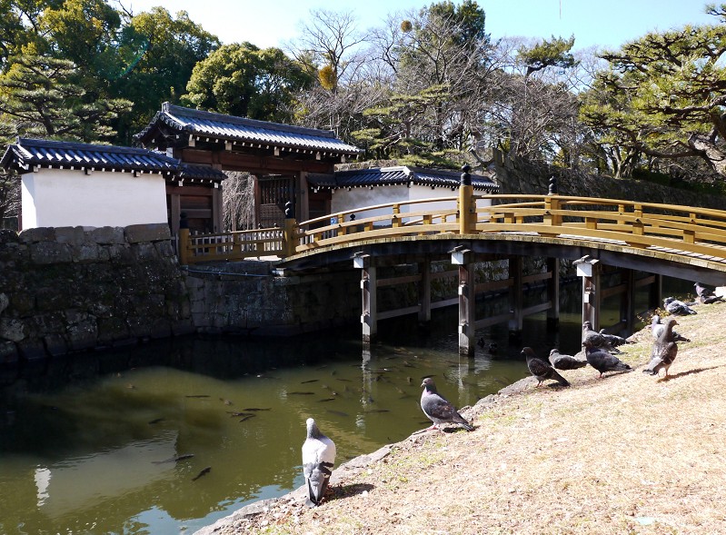 　　早春の和歌山城_b0093754_2314029.jpg