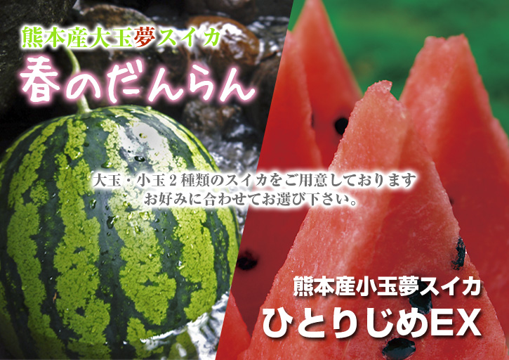 夢スイカ　小玉は3本仕立ての2玉収穫、大玉は2本仕立ての1玉収穫！今年も匠の技で育て上げます!!_a0254656_16372349.jpg