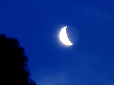 a0248459_20363329.jpg