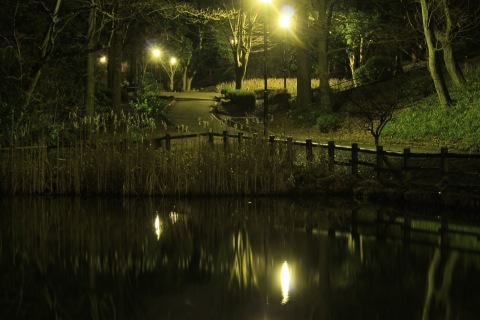 a0248459_20381331.jpg