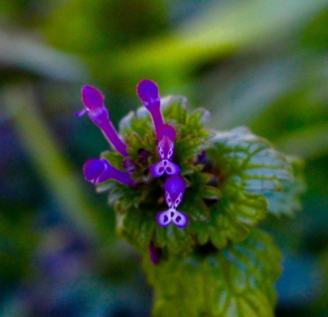 a0248459_20484491.jpg