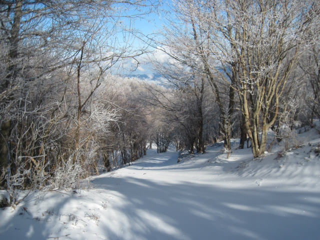 2016.2.3　風呂塔1402ｍ～火打山1425ｍ_c0219866_1835582.jpg