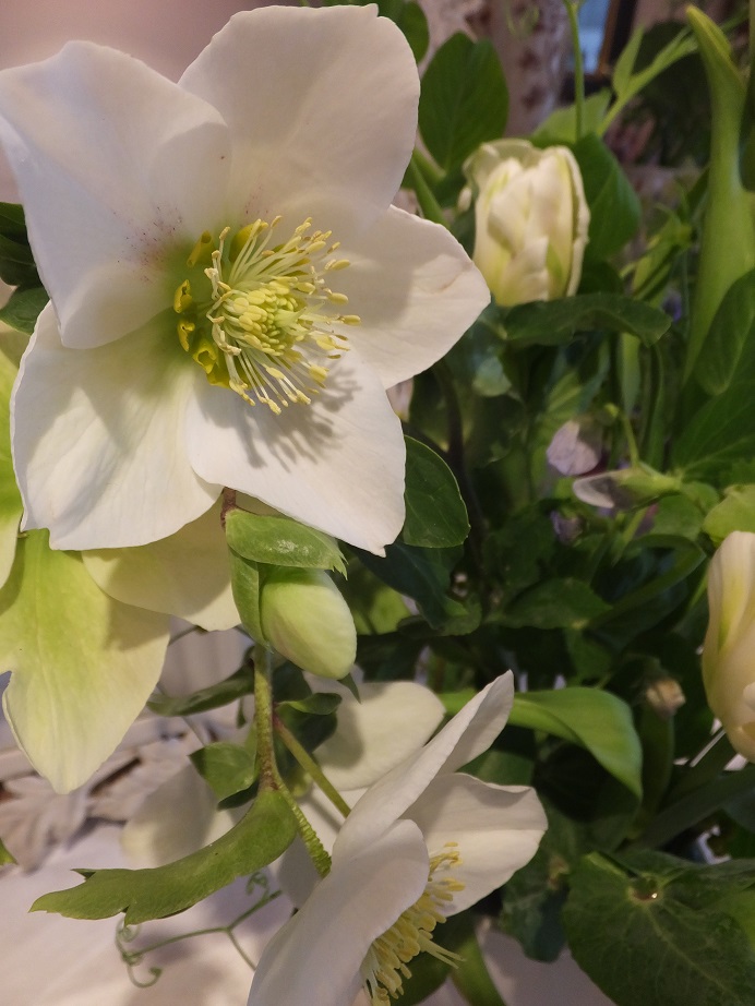 オークリーフ花の教室(青文字を使って)_f0049672_18224456.jpg