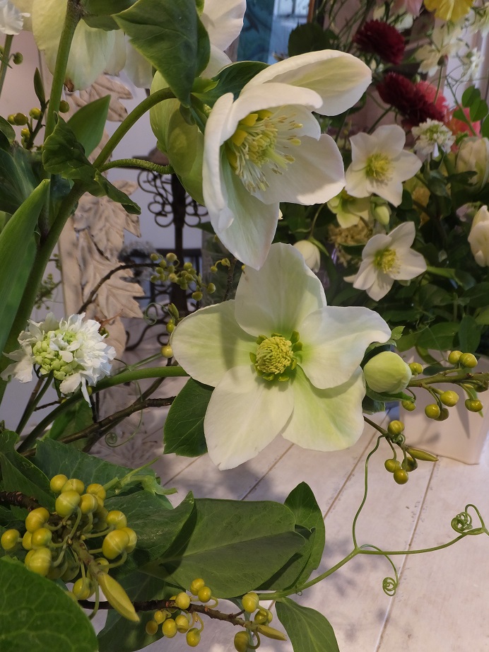 オークリーフ花の教室(青文字を使って)_f0049672_18234476.jpg