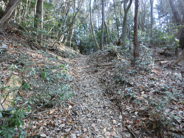 No429　初登りは兵庫・白髪岳～松尾山_b0185573_1952231.jpg