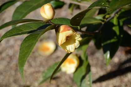 c0229483_23513875.jpg