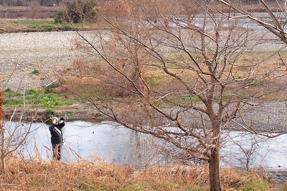 ★ 立日橋～府中本町（橋巡り）_a0278092_19253679.jpg