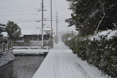 城下町萩のひみつの５ ～ 節分と迷宮 ～_b0076096_17212081.jpg