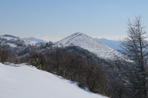 a0158702_9521864.jpg