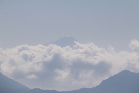 a0158702_9544519.jpg