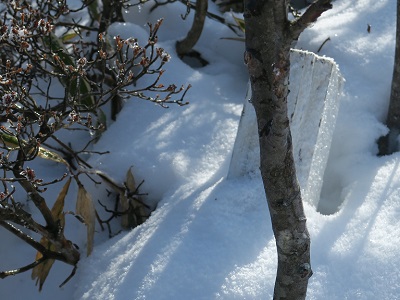 a0158702_9551045.jpg