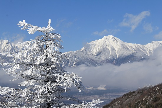 a0158702_9554127.jpg
