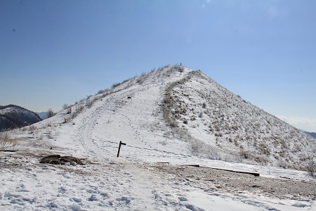 a0158702_9562730.jpg