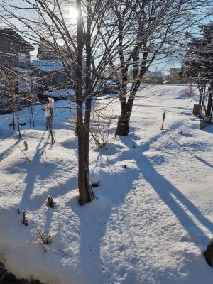 c0336902_20172990.jpg