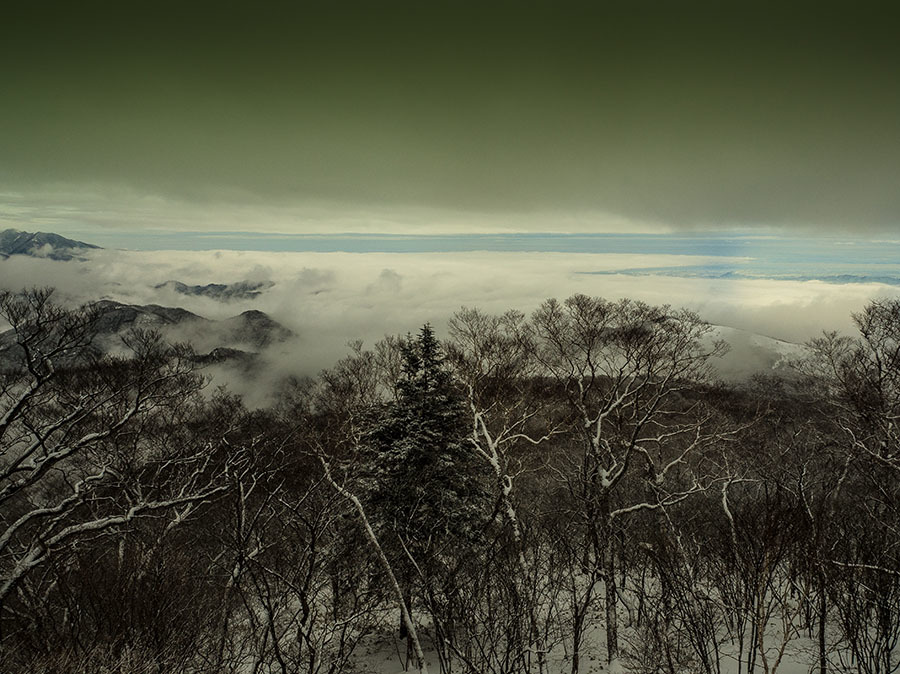 雪の霧降高原02_a0320705_10371385.jpg