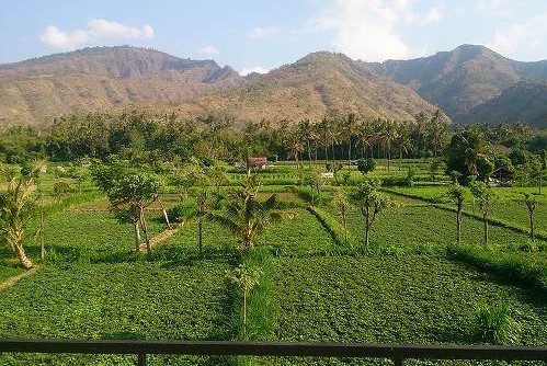 D\'Sawah　Amed Homestay 見学と Melasti 界隈 @ Amed (\'15年10月)_f0319208_21473869.jpg