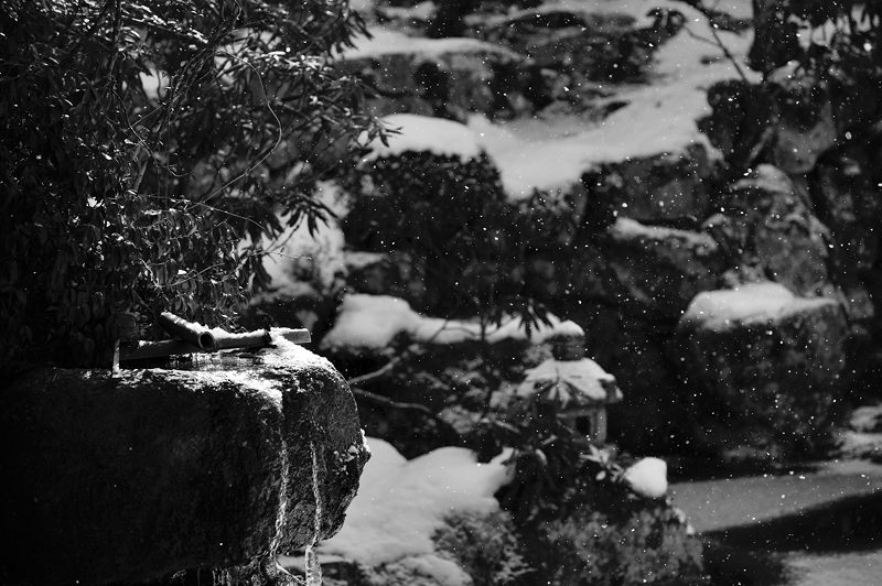 大原雪景色 其の六・実光院_f0032011_19412134.jpg