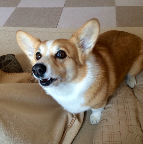あしょんでよbyらくださん ゆかぴぶろぐ