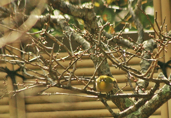 d0025414_18303.jpg
