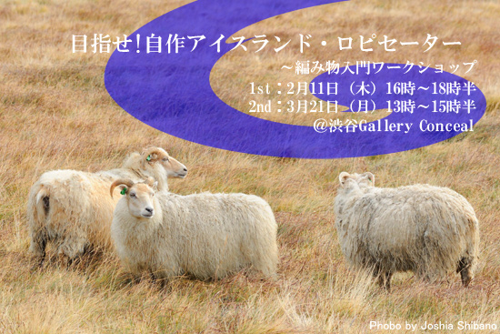 シバノジョシア/アイスランド写真展『MARGINAL FIELD』＆ゴッチ原画展_c0003620_343362.jpg
