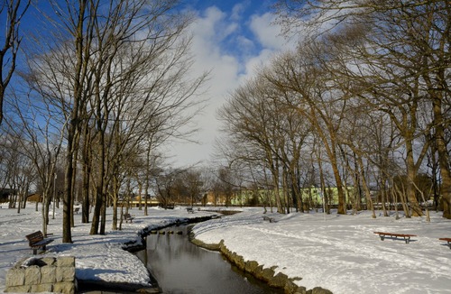 f0329325_10532990.jpg
