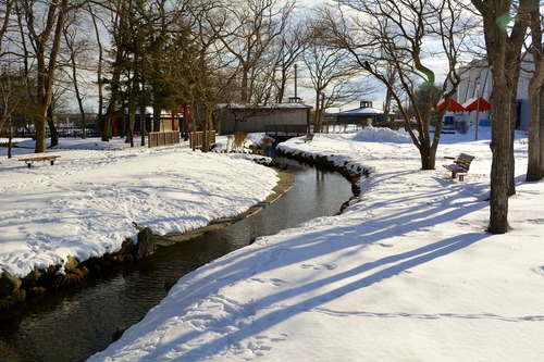 f0329325_10533729.jpg