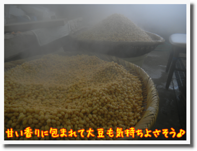 c0259934_08462046.png