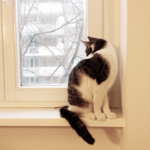 ベルリンの雪景色 プレイバック１月part1_f0207434_03574841.jpeg