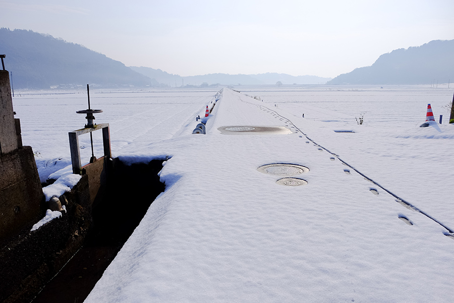 ”佐賀の大地に雪が積もる日”_c0014538_23372744.jpg